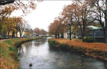 Picture3.jpg