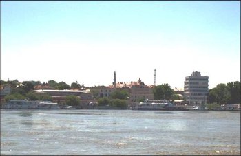 Picture22.jpg