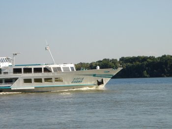 DSC08479.JPG