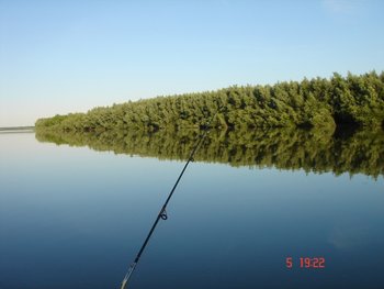 DSC06251.JPG
