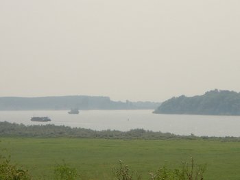 DSC08431.JPG