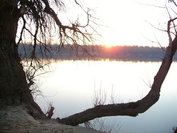PICT0043.JPG