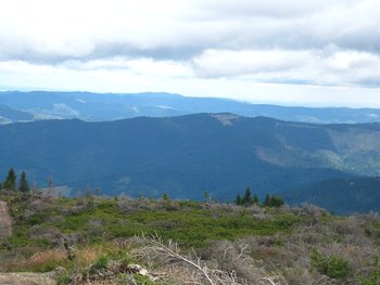 IMG_0686.JPG