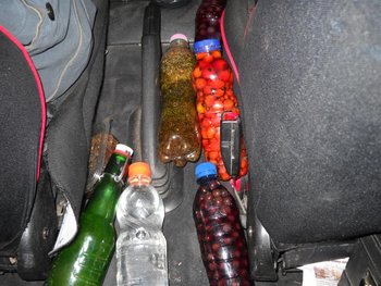 DSCN6175 (Medium).jpg