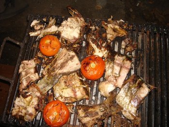 DSC01737.JPG