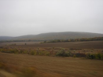 DSC01530.JPG