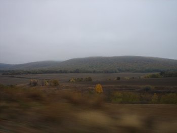 DSC01532.JPG