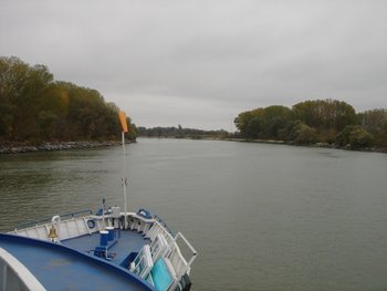 DSC01558.JPG
