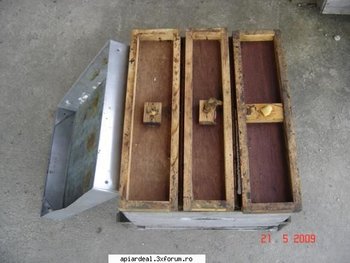 mexicani2 (Copy).jpg