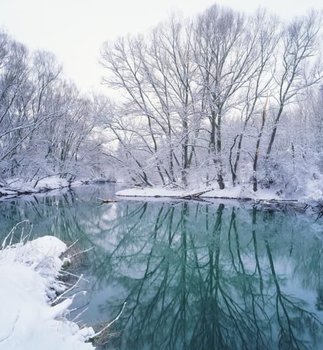 ok_39498.jpg