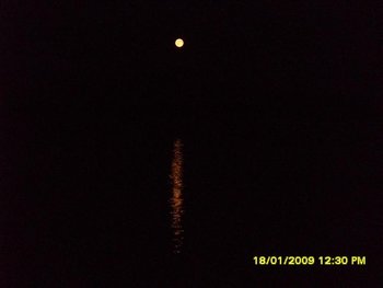 Picture 606 (Medium).jpg
