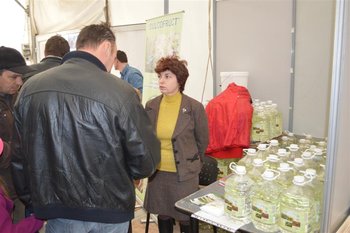 DSC_0251 (Medium).JPG