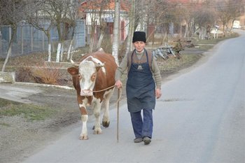 DSC_0132 (Medium).JPG