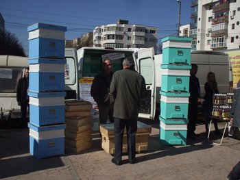 DSCF6379.JPG