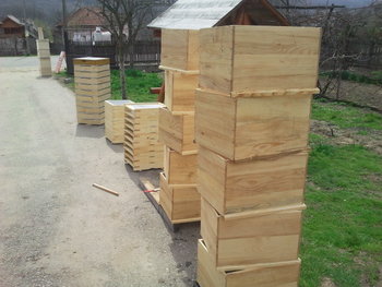 2013-04-12 12.20.59.jpg