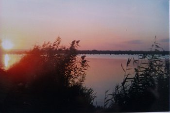 IMAG0232.jpg