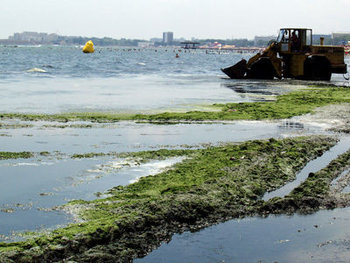 Marea de Smarald.jpg