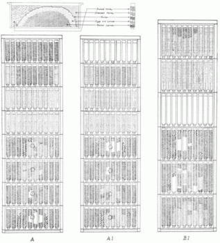 fig15LG.gif