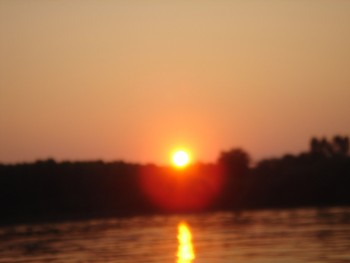 DSC00207.JPG