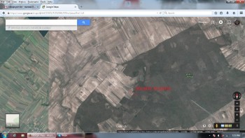 locatie-stupina.jpg