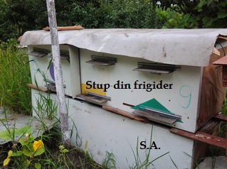 stup.din.frigider1.jpg