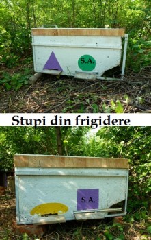 2StupiDinFrigidere.jpg