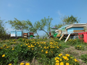 DSCF8875.JPG