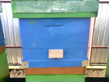 IMG00012.jpg