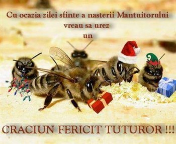 craciun fericit.jpg