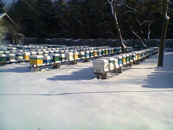 Fotogr.0118.jpg