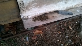 WP_20160109_15_37_38_Pro.jpg