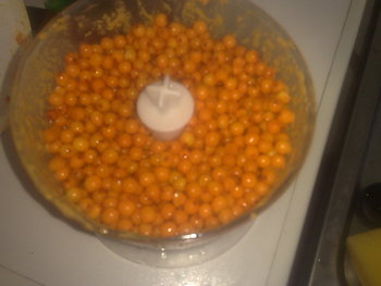 05092011734.jpg