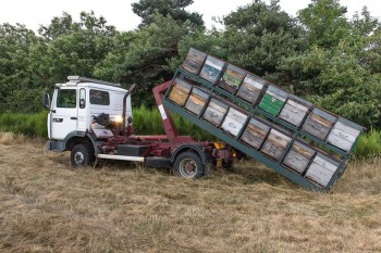 hook loader corona.jpg