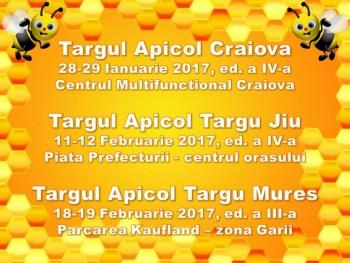 Afis targuri 2017.jpg
