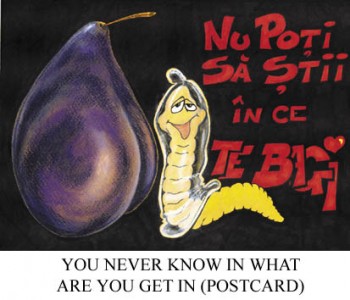 v POSTCARD7.jpg