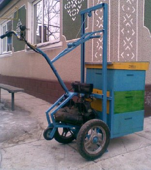 lisamotorizata.JPG