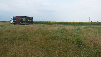 20170716_075921.jpg