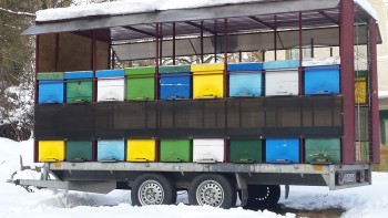 20180118_140529.jpg