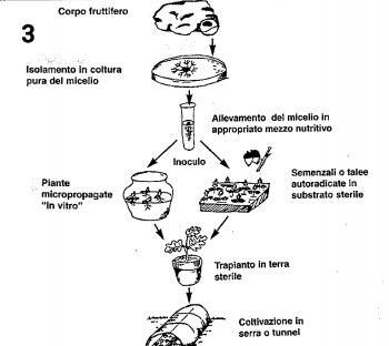 20201029_163413.png