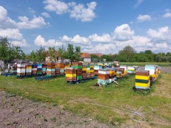20220509_162116.jpg