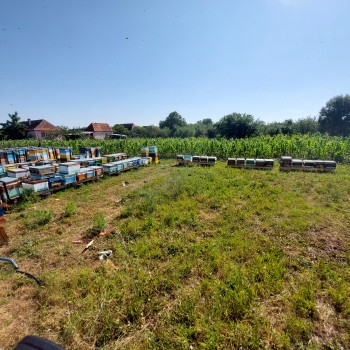 20220704_100135.jpg