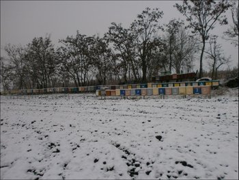 3.JPG