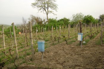 DSC04640.JPG