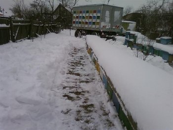 Fotografii-0033 (Medium).jpg