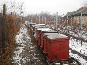 DSCN0114 (Medium).jpg