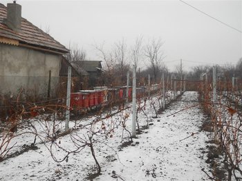 DSCN0115 (Medium).jpg
