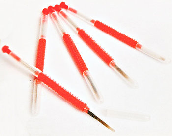 picking-larva-transfer.jpg