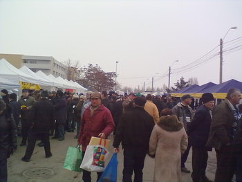 10032012493.jpg